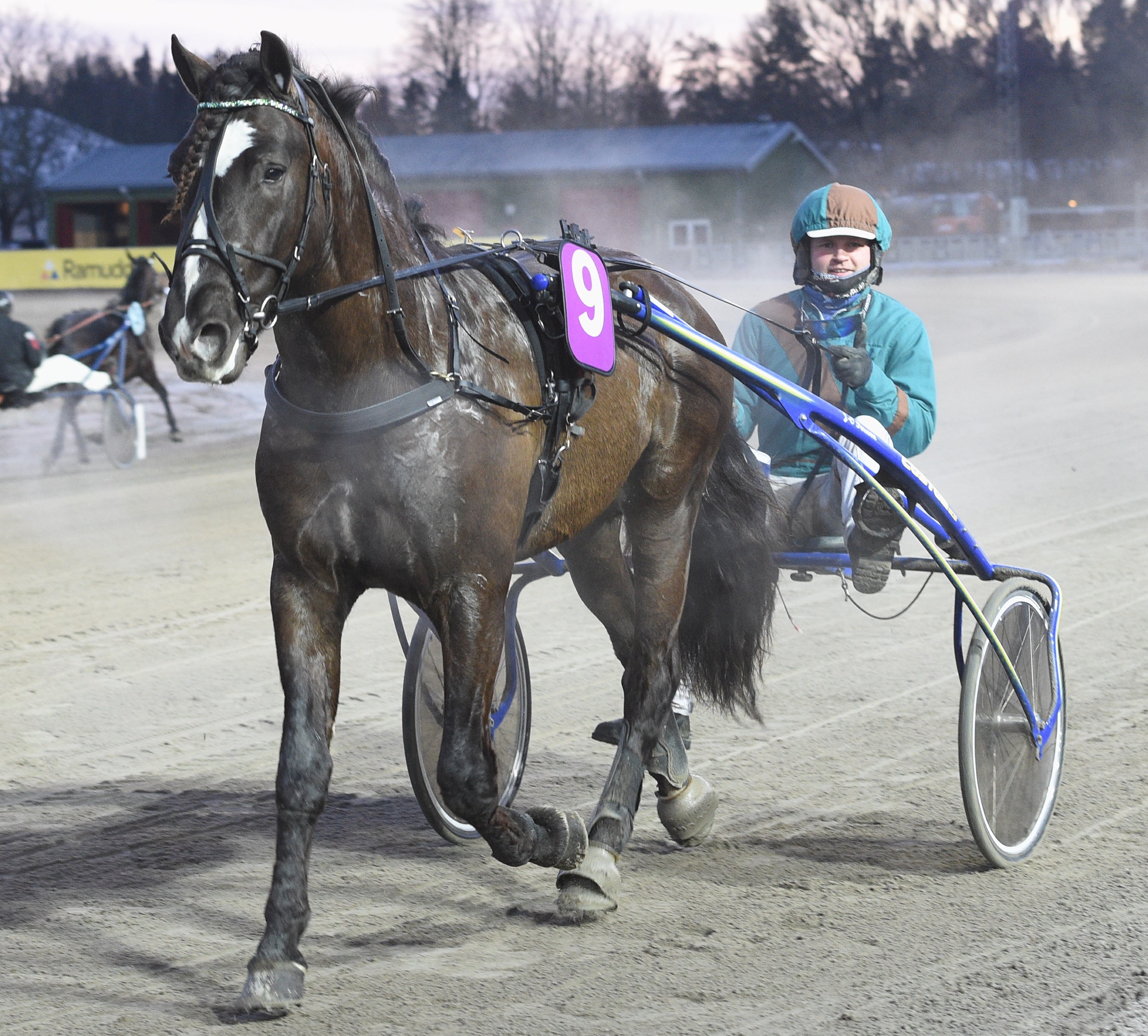 Granbarksborren och Marcus Lilius i segerdefilering i förra årets sista start. Foto; ALN Pressbild